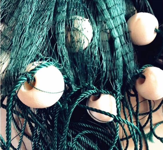 QQ图片20190515165010